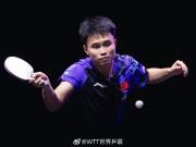 WTT横滨冠军赛:温瑞博、周启豪首轮出局,国乒男单下半区失守